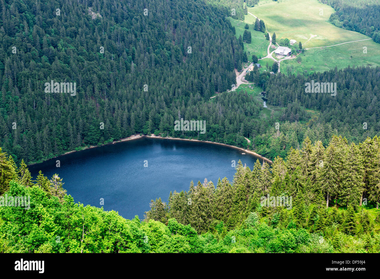 Lake (Feldsee) on the Feldberg, on the highest mountain in Baden-Württemberg, Germany Stock Photo