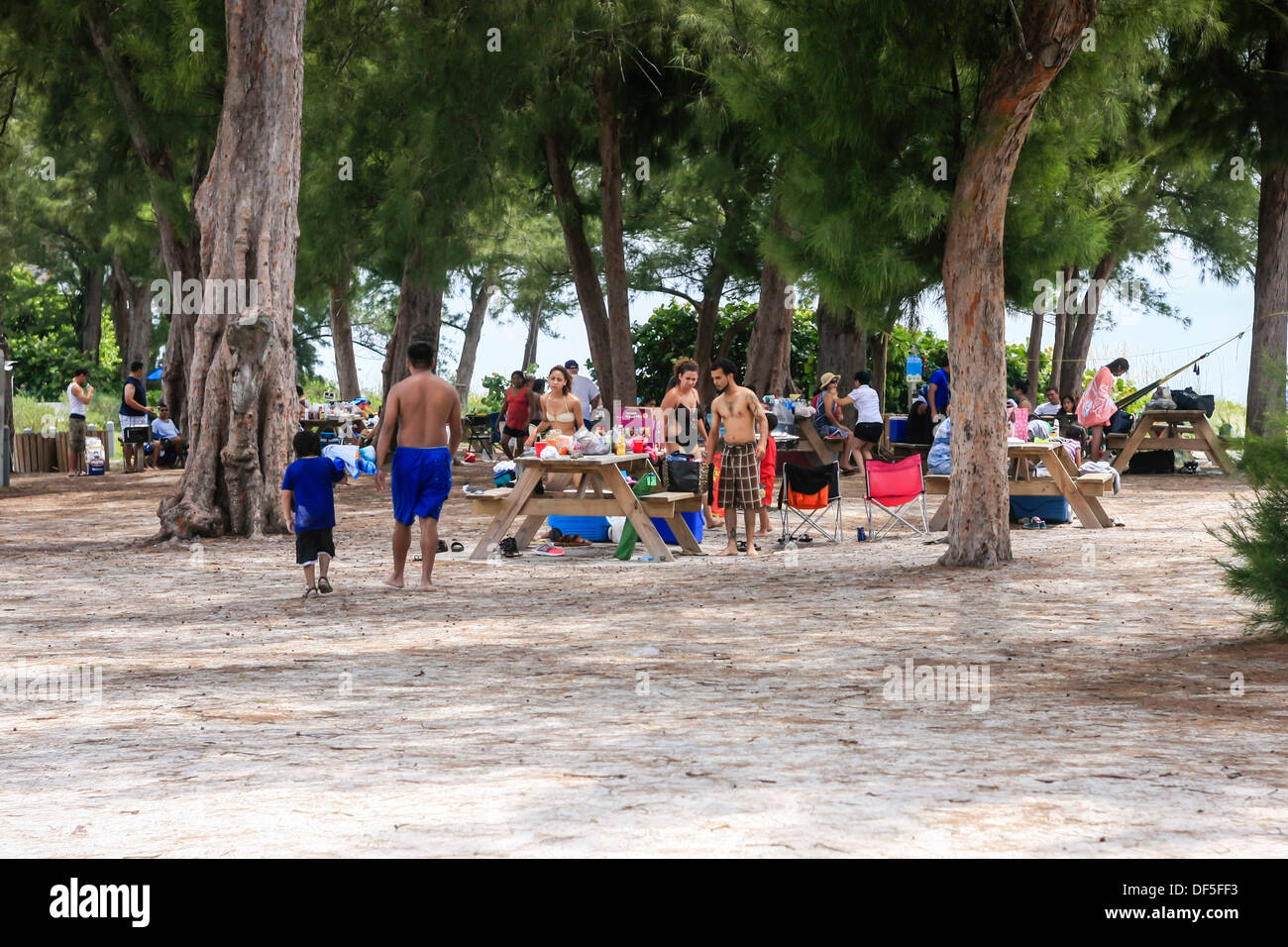 People enjoying the facilities at Holmes beach picnic area on Anna