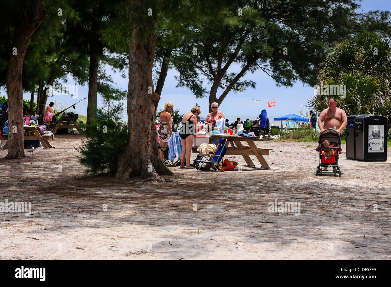 People enjoying the facilities at Holmes beach picnic area on Anna