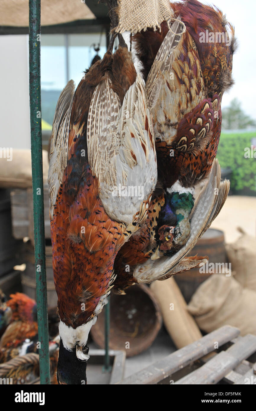 Granary Square, Kings Cross, London, UK. 28th September 2013. A stall of (fake) dead Pheasants and Partridges at the Kings Cross Journeys event. Credit:  Matthew Chattle/Alamy Live News Stock Photo