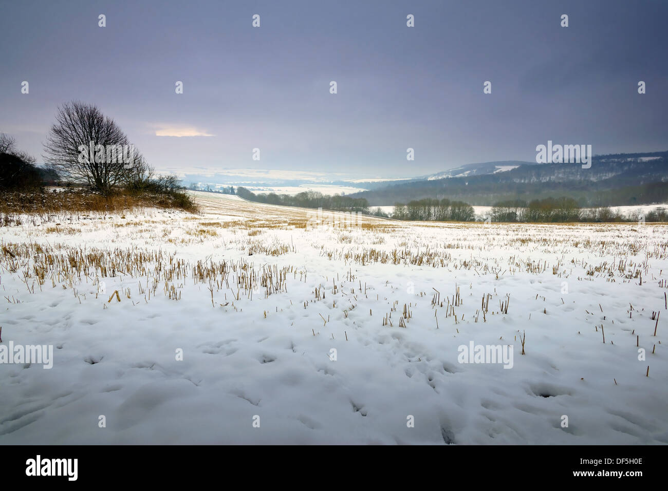 West sussex snow winter south downs hi-res stock photography and images ...