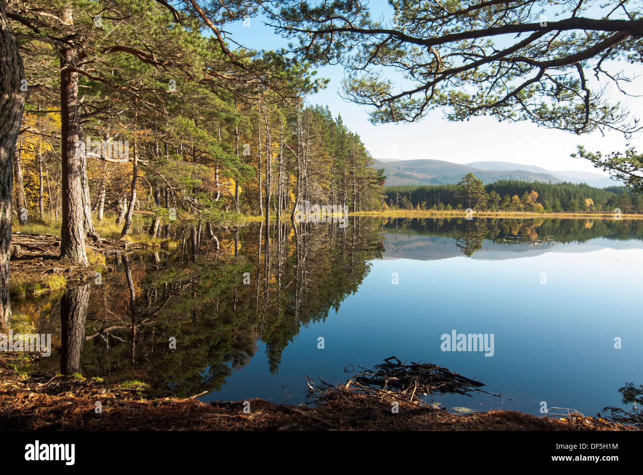 Loch with trees and reflections. Stock Photo