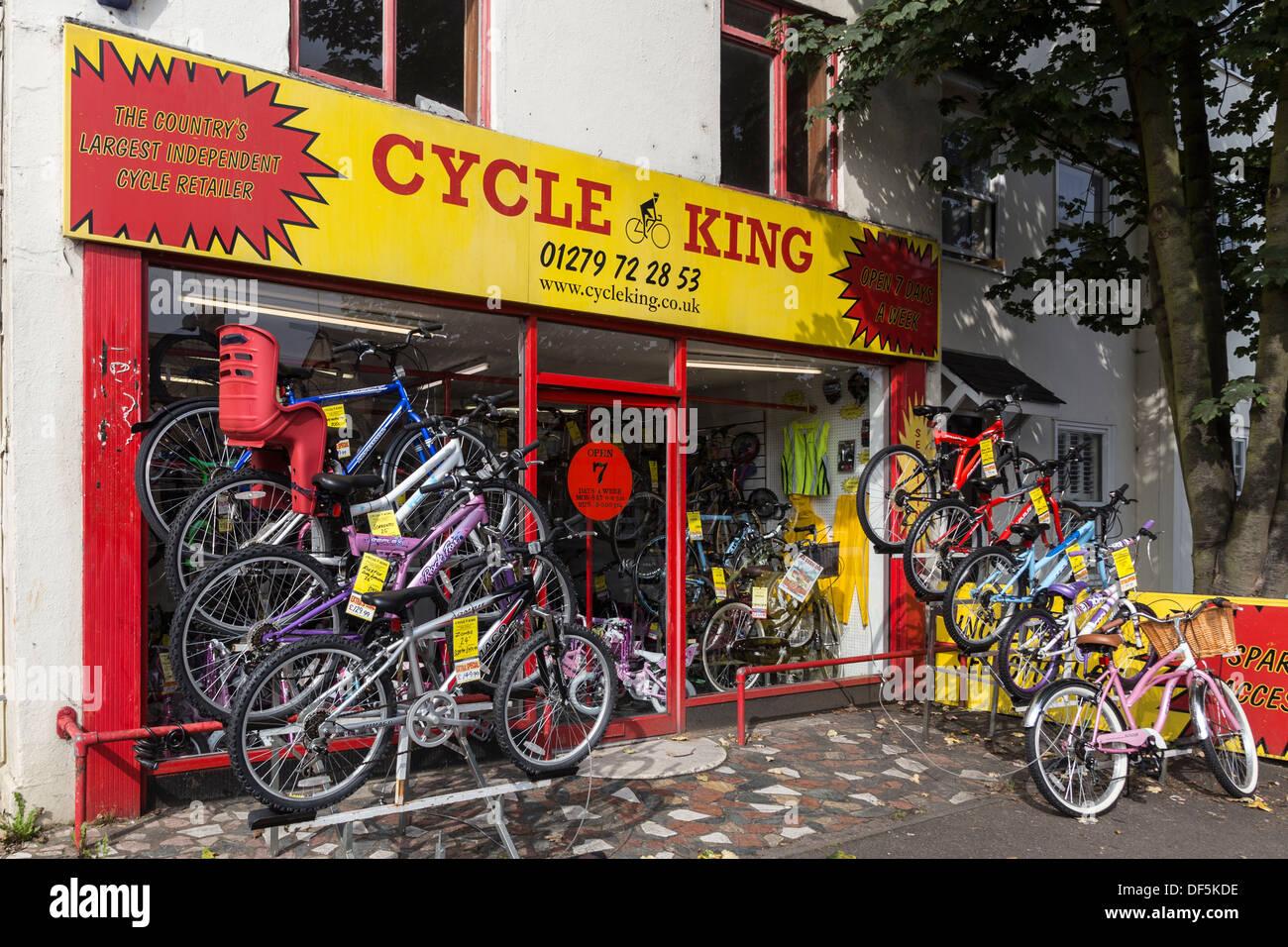 Cycle king near best sale me