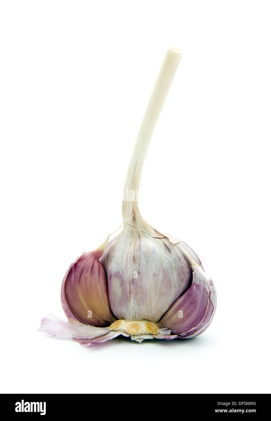 fresh garlic isolated on white background Stock Photo - Alamy
