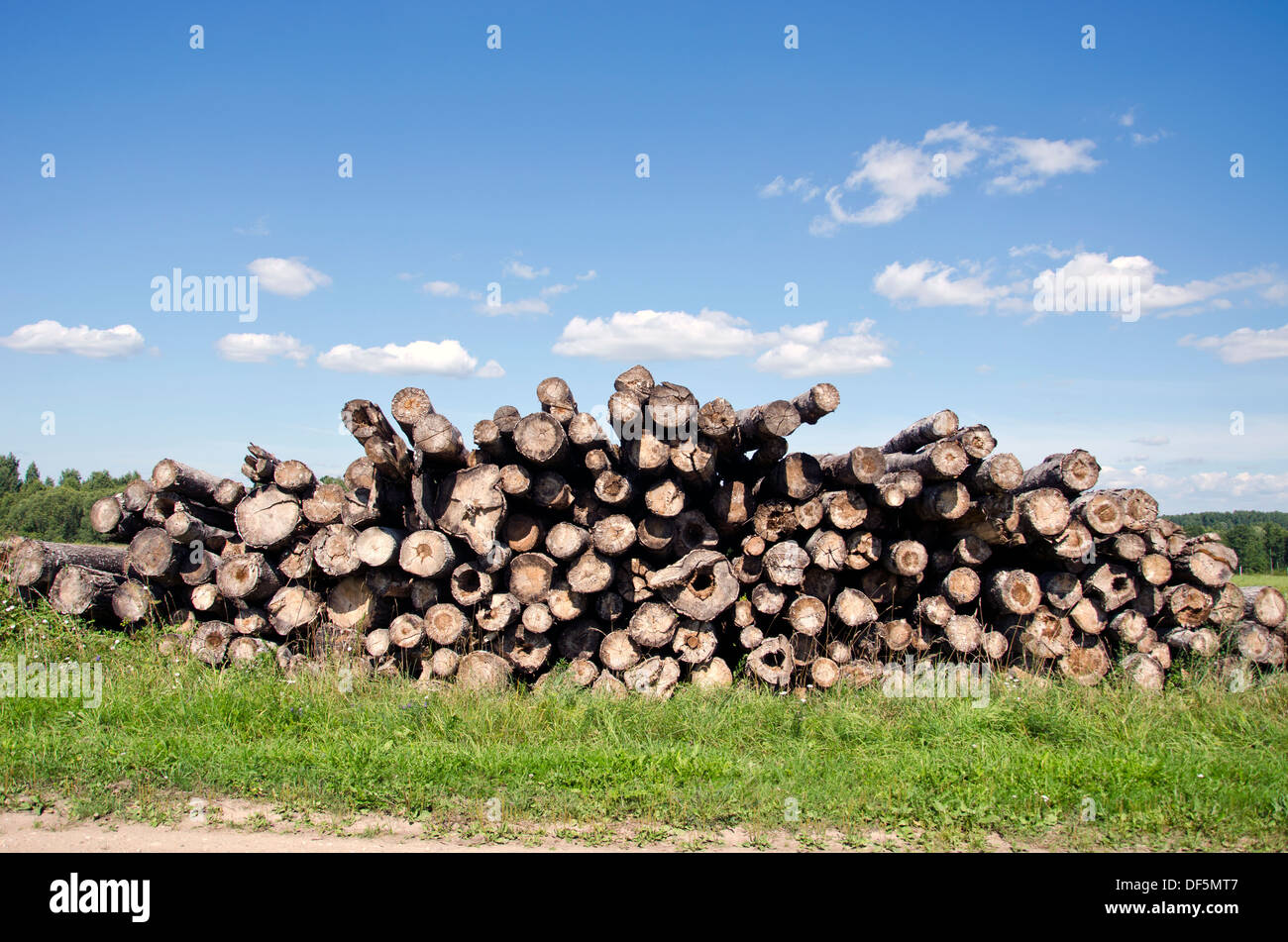 old log stack on field for firewood Stock Photo - Alamy