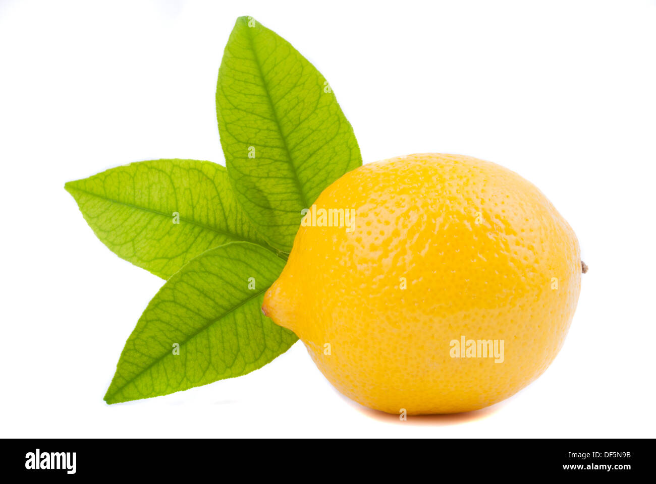 Lemon with leaves on a white background Stock Photo - Alamy