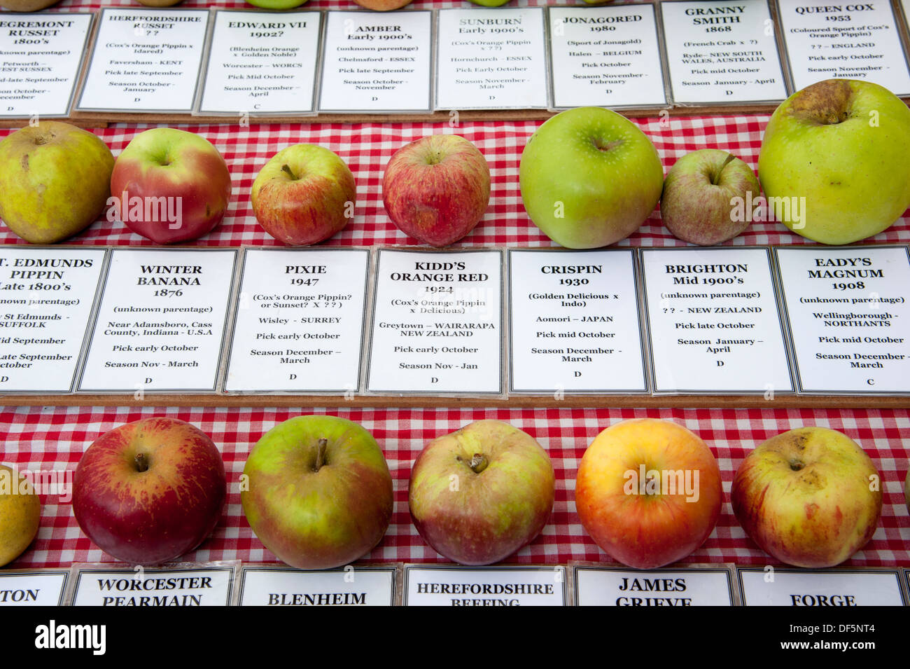 Selection of apples and the details relevant to them mainly grown in the UK Stock Photo