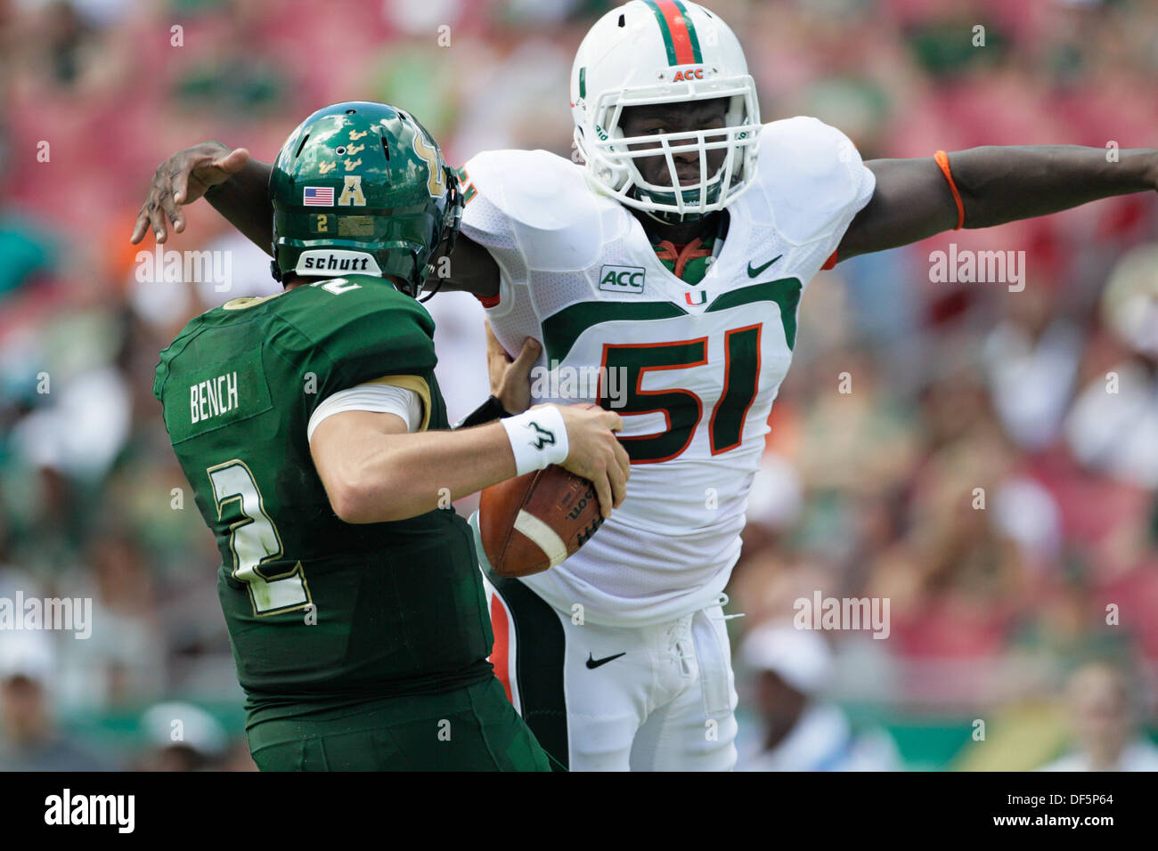 Steven Bench Usf