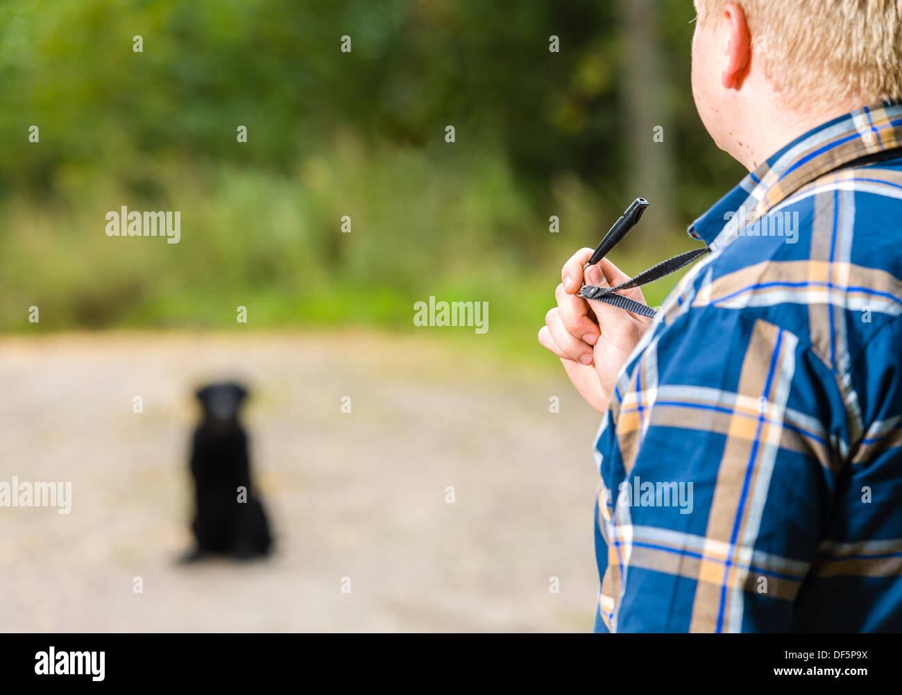 Dog whistle retriever hires stock photography and images Alamy
