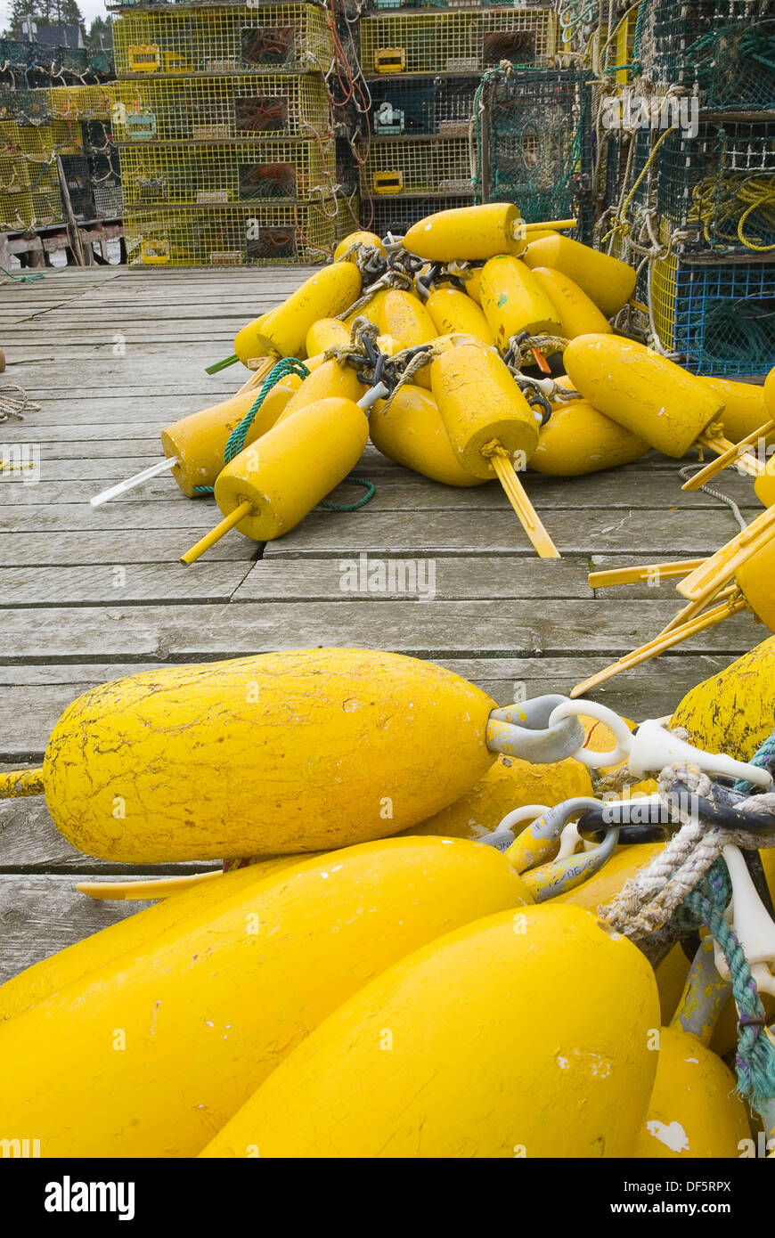 Yellow lobster buoys and lobster traps on dock Bristol Maine USA Stock