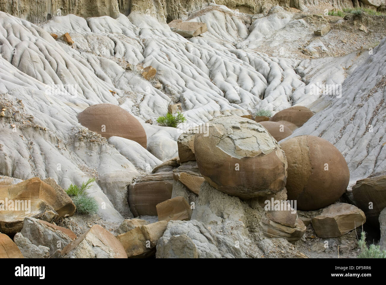 Cannonball hires stock photography and images Alamy