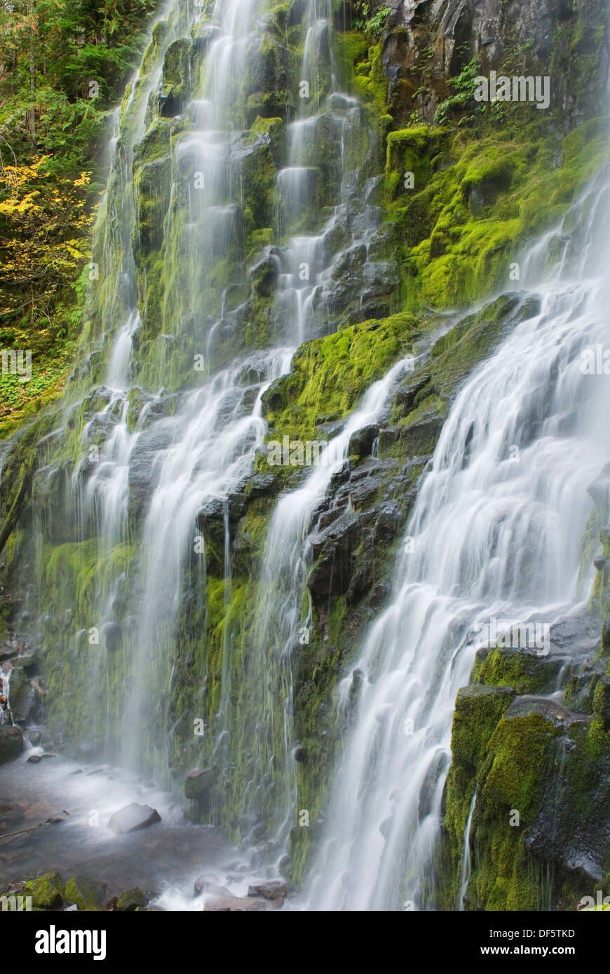 Proxy Falls near McKenzie Pass in the Three Sisters Wilderness, Oregon Stock Photo