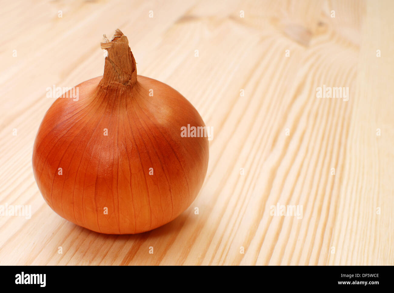 Skin of an onion hi-res stock photography and images - Alamy