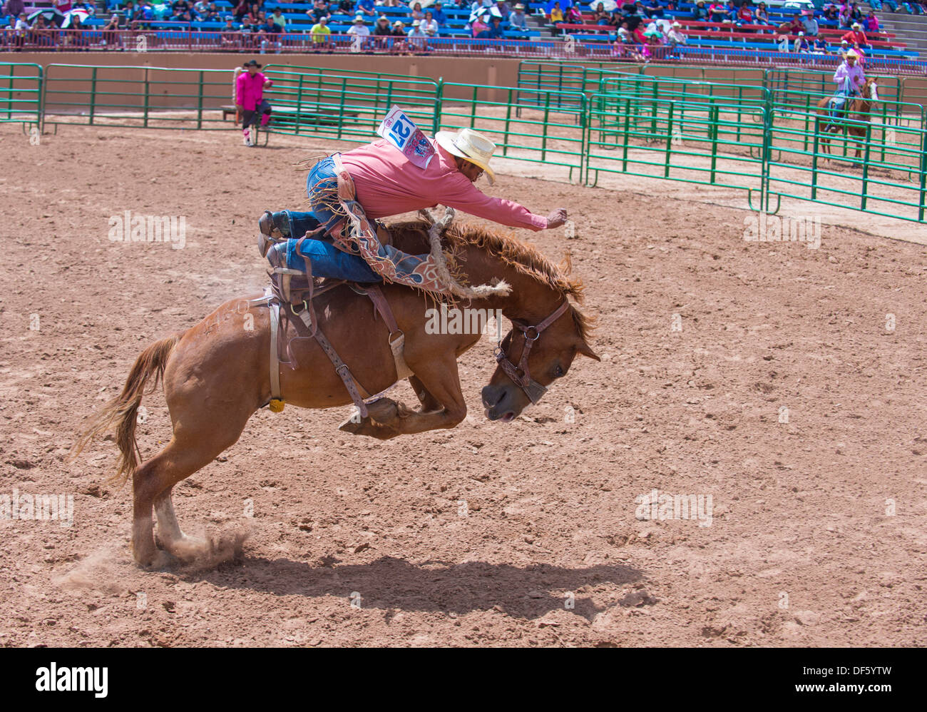 Cowboy Participates in a Bucking Horse Competition at the 92nd annual