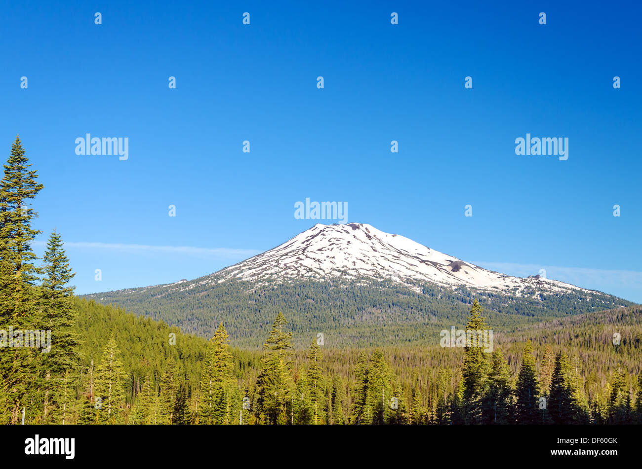 Early summer view of Mt. Bachelor with a beautiful green forest below it. Stock Photo