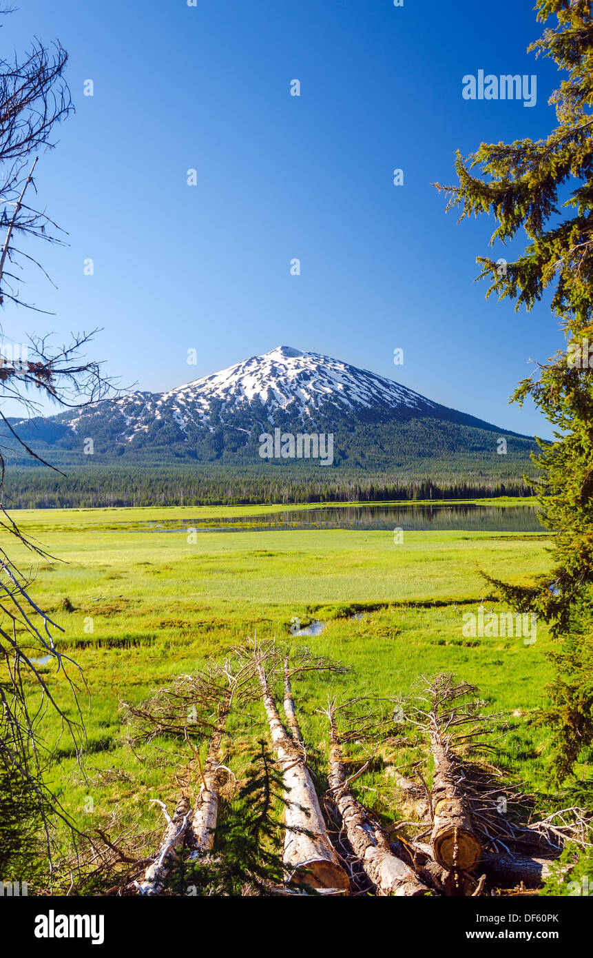 Mount Bachelor as seen through a clearing of trees near Bend, Oregon Stock Photo