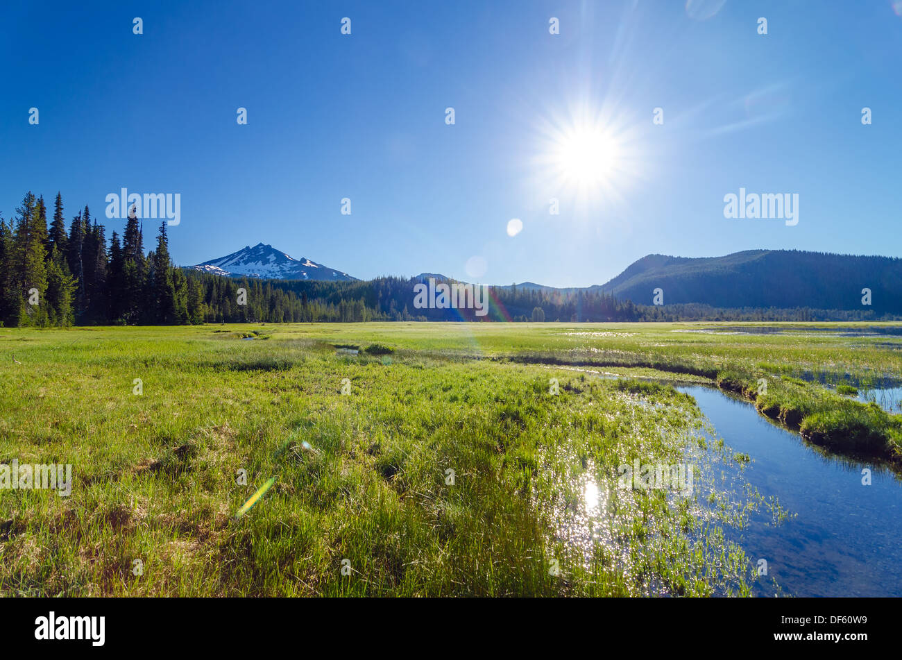 View of a meadow and South Sister mountain shot looking directly into the sun near Bend, Oregon Stock Photo