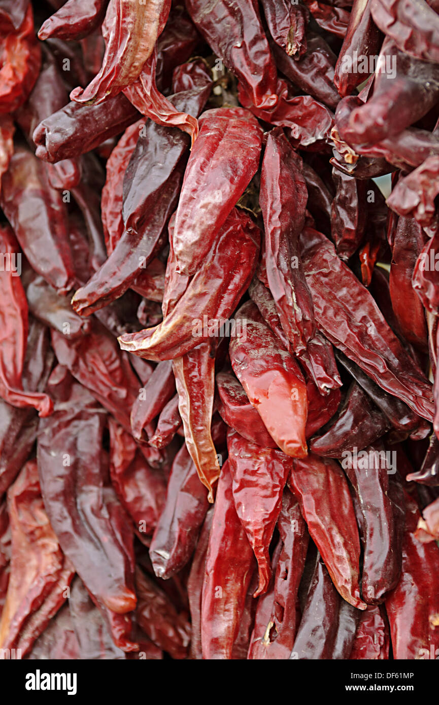 Dried chiles taos hires stock photography and images Alamy