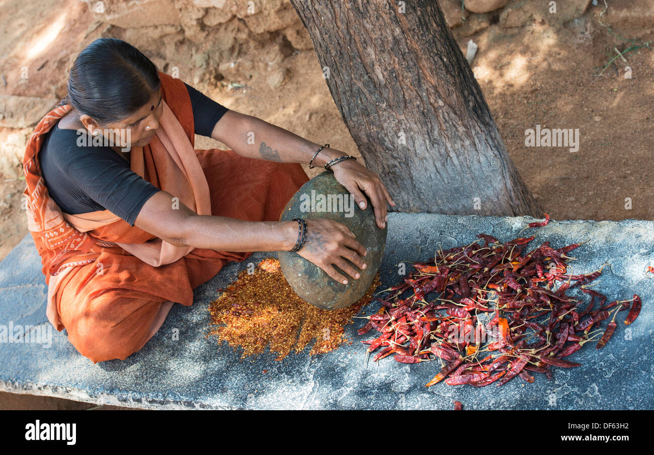 Indian woman crushing dried red chilli to powder with a round stone in ...