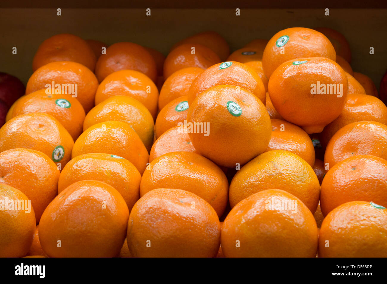 Navel oranges neatly placed in fruit stand at St Lawrence Market Stock