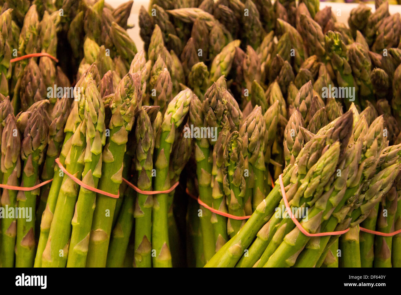 Lots of asparagus in bundles wrapped in elastic bands Stock Photo