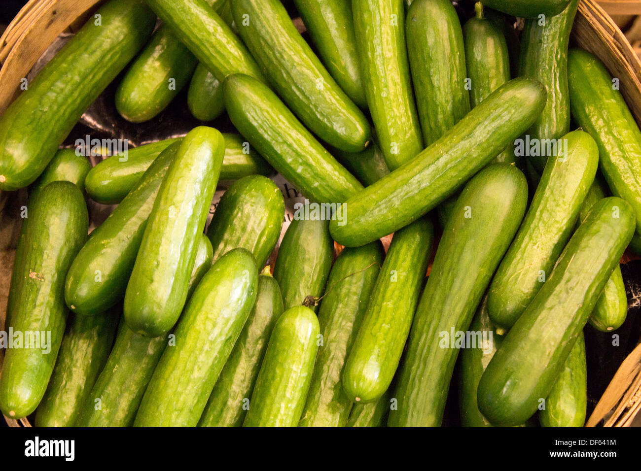 Lots of cucumbers in basket at St. Lawrence Market Stock Photo