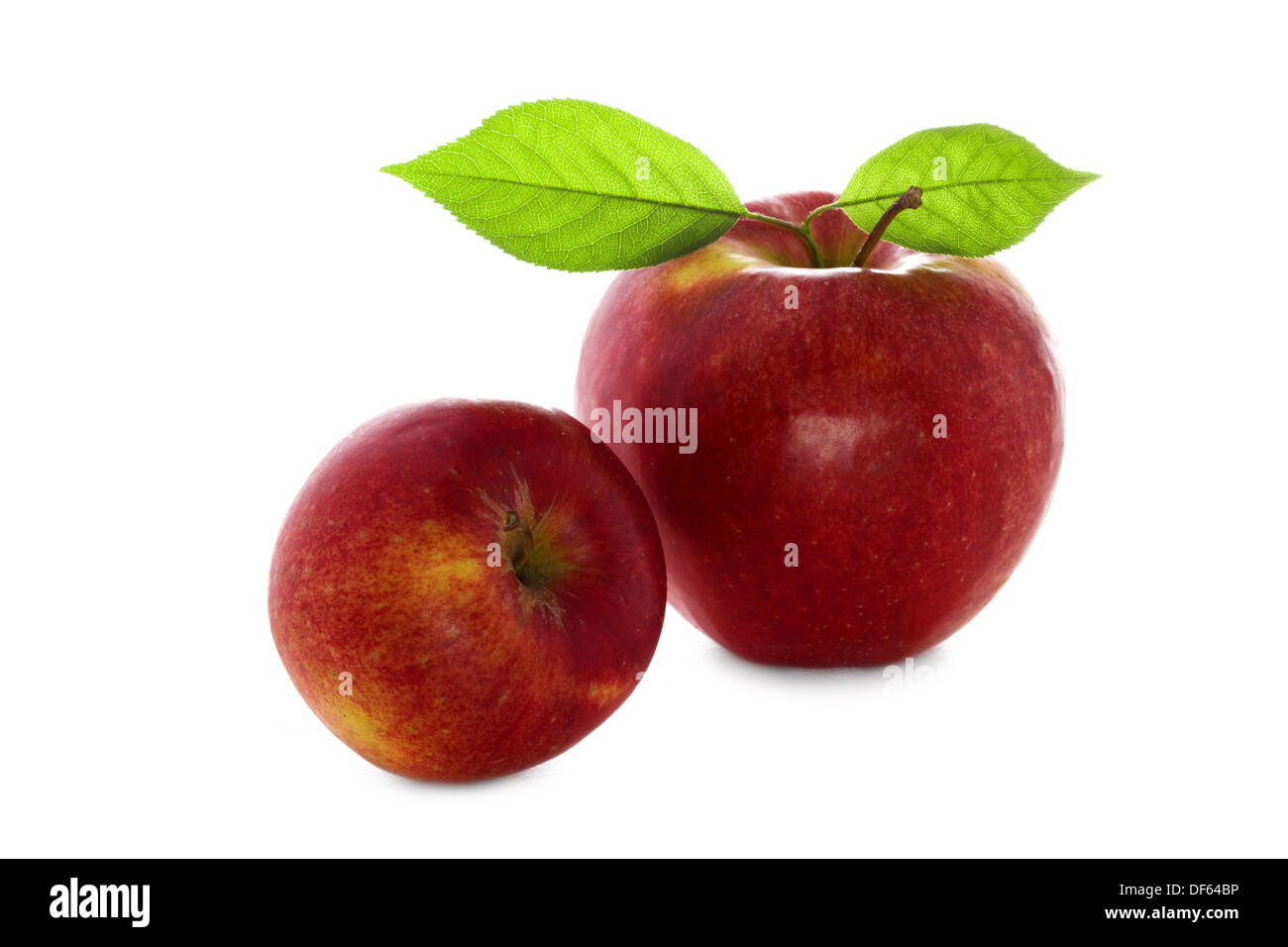 Two ripe red and fresh apples with leaves close-up. Isolated on a white Stock Photo
