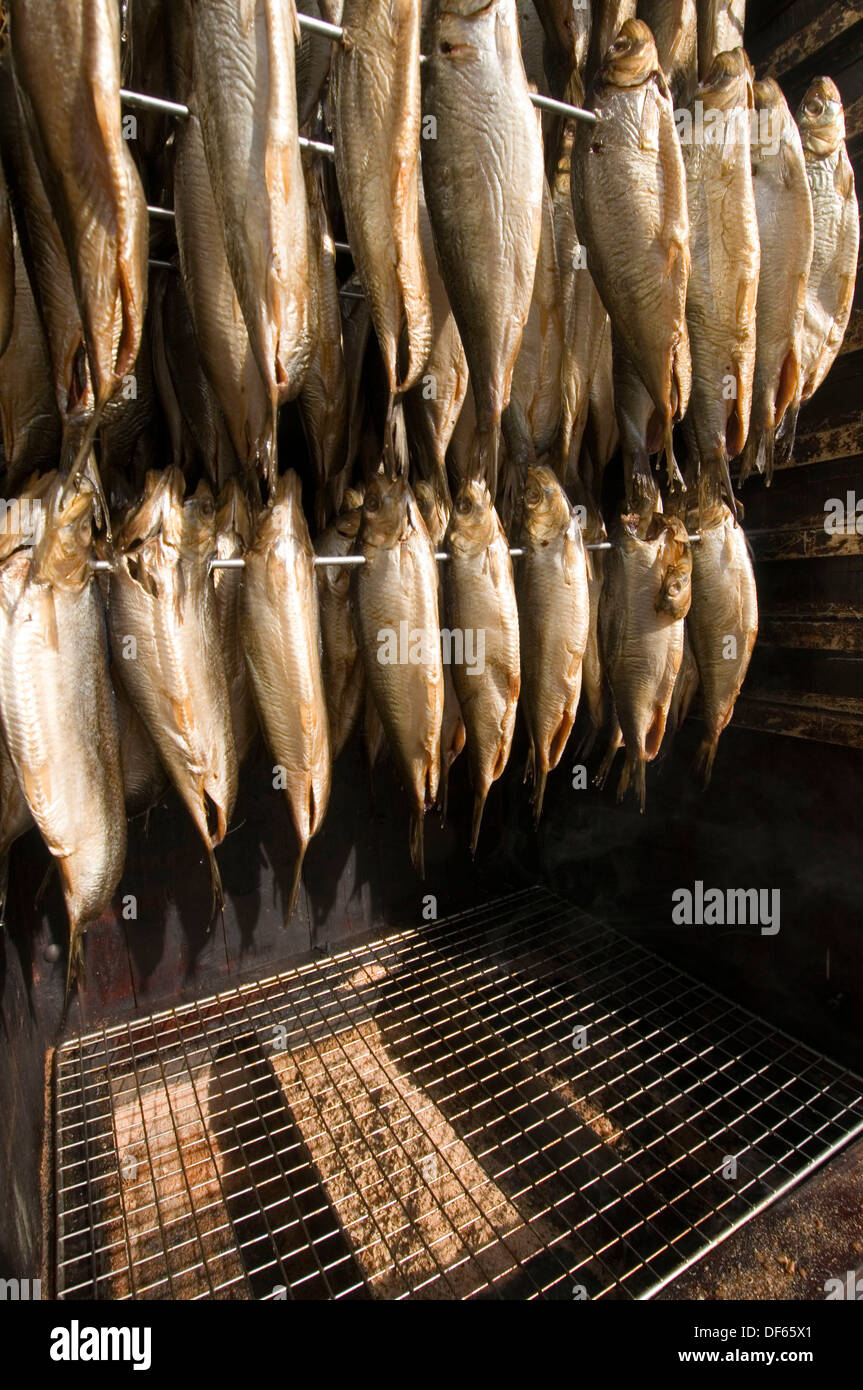 kippers kipper smoked fish smokey flavour smoke smoking herring