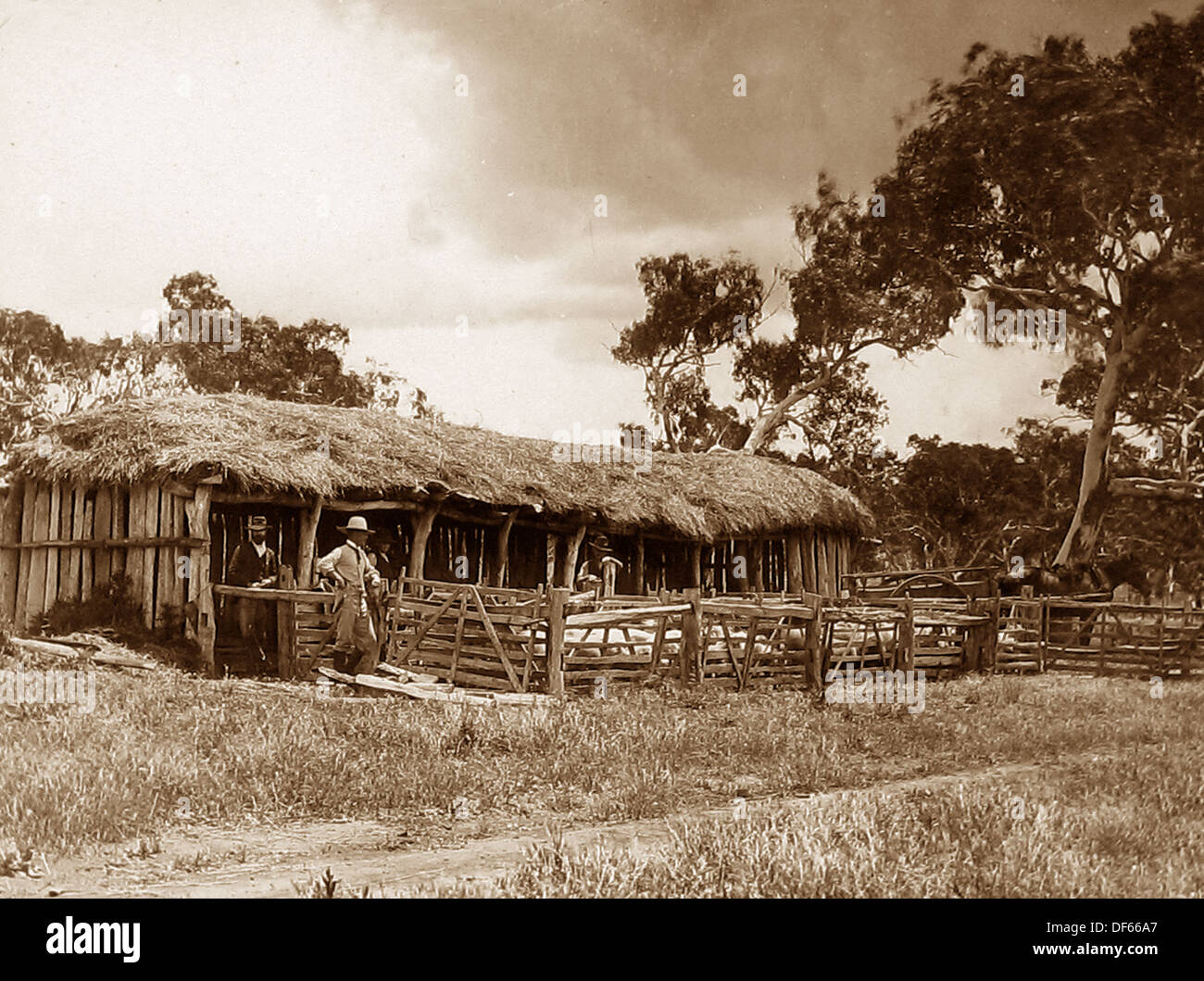 Australia Settlers wool shed Victorian period Stock Photo