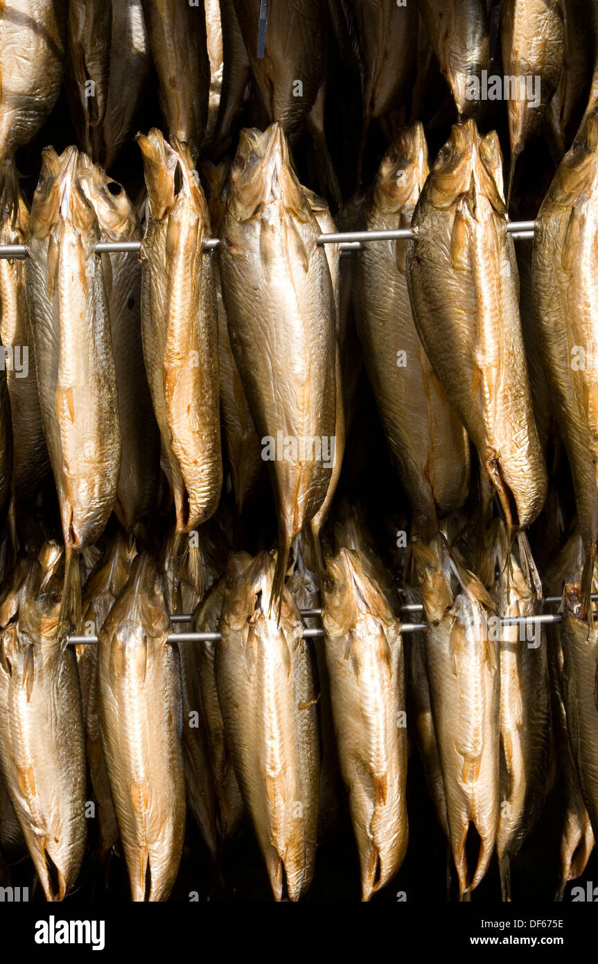 kippers kipper smoked fish smokey flavour smoke smoking herring