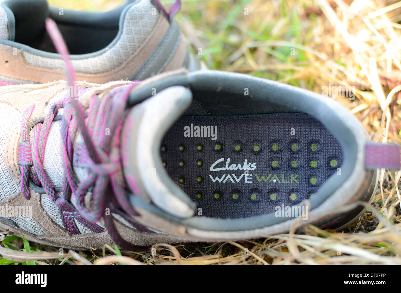 clarks shoes old orchard