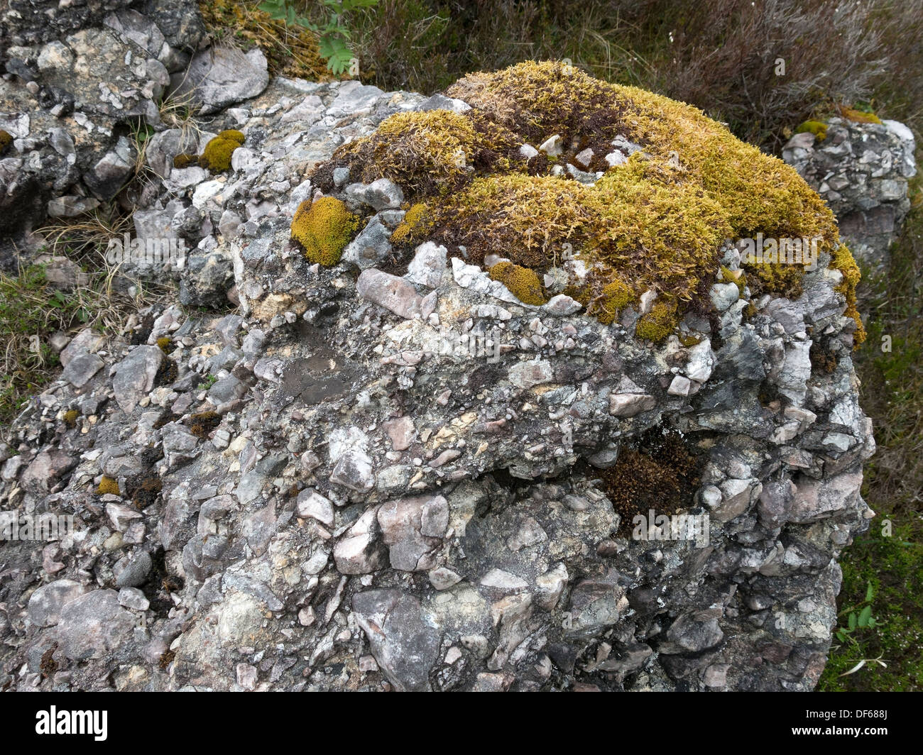 Conglomerate pudding stone rock outcrop, Boreraig, Isle of Skye, Scotland, UK Stock Photo