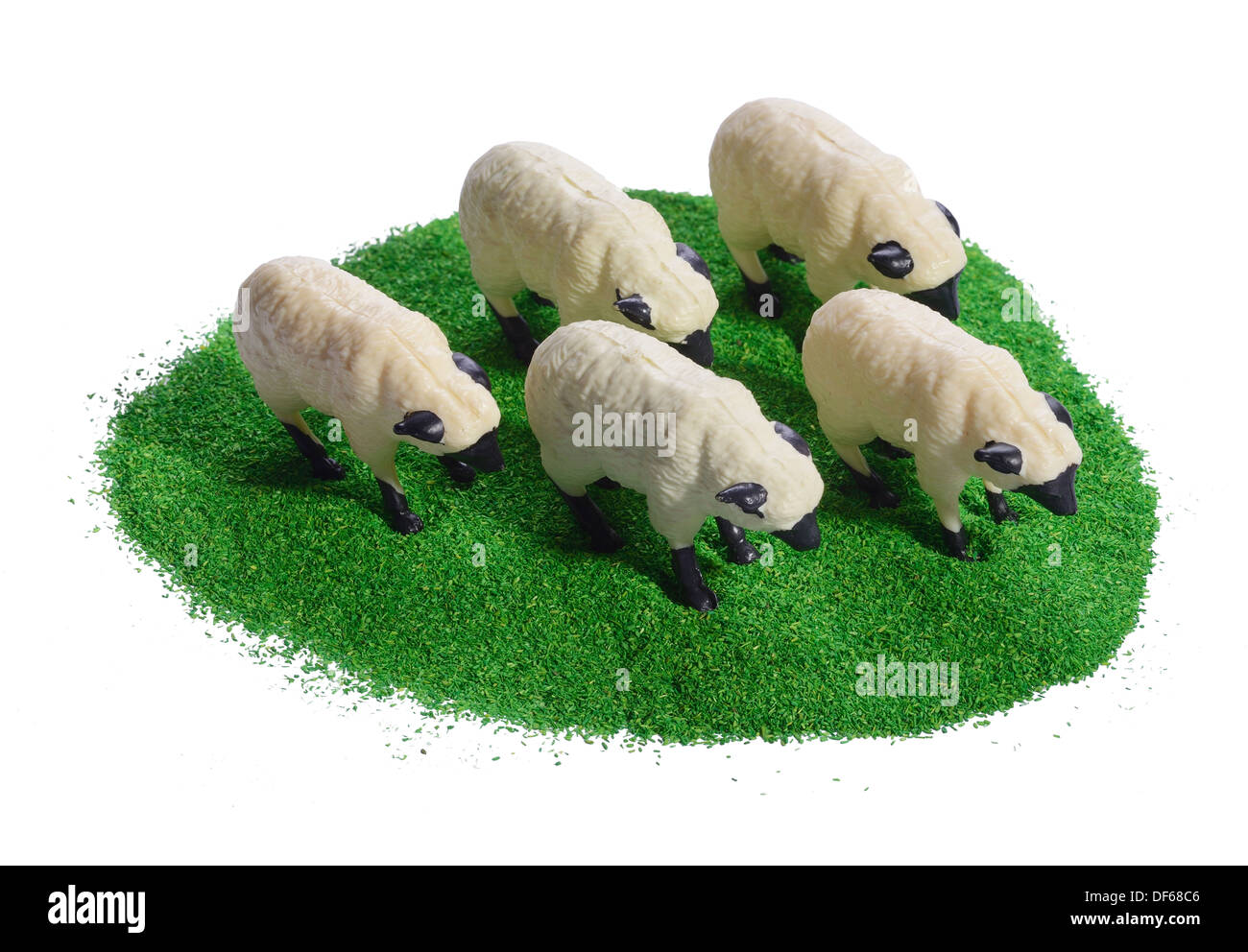 Five toy plastic sheep grazing on a green field Stock Photo