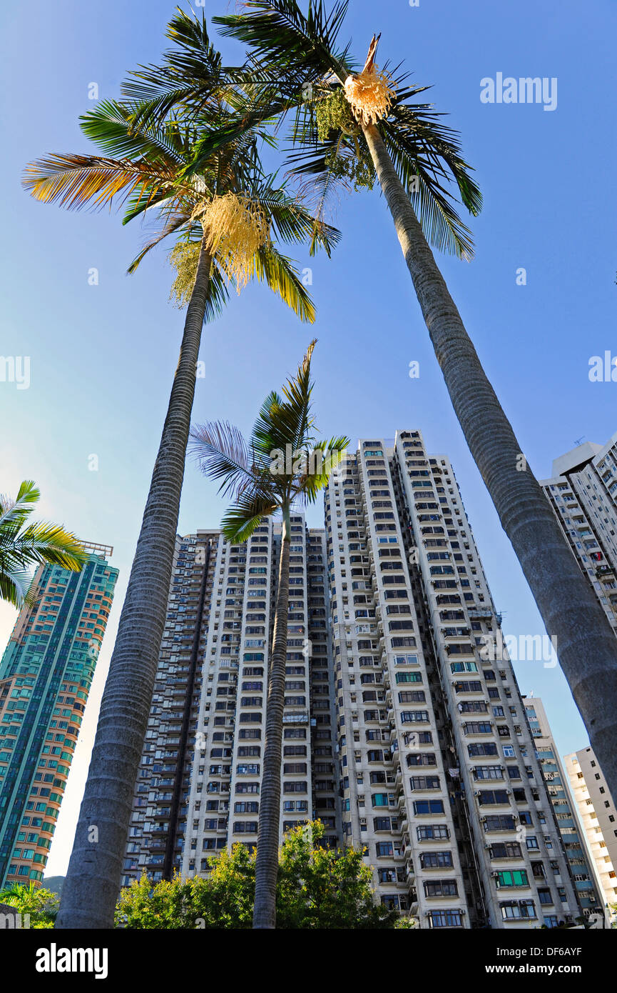 Tall apartments blocks at Aberdeen, Hong Kong with palm trees Stock Photo Alamy