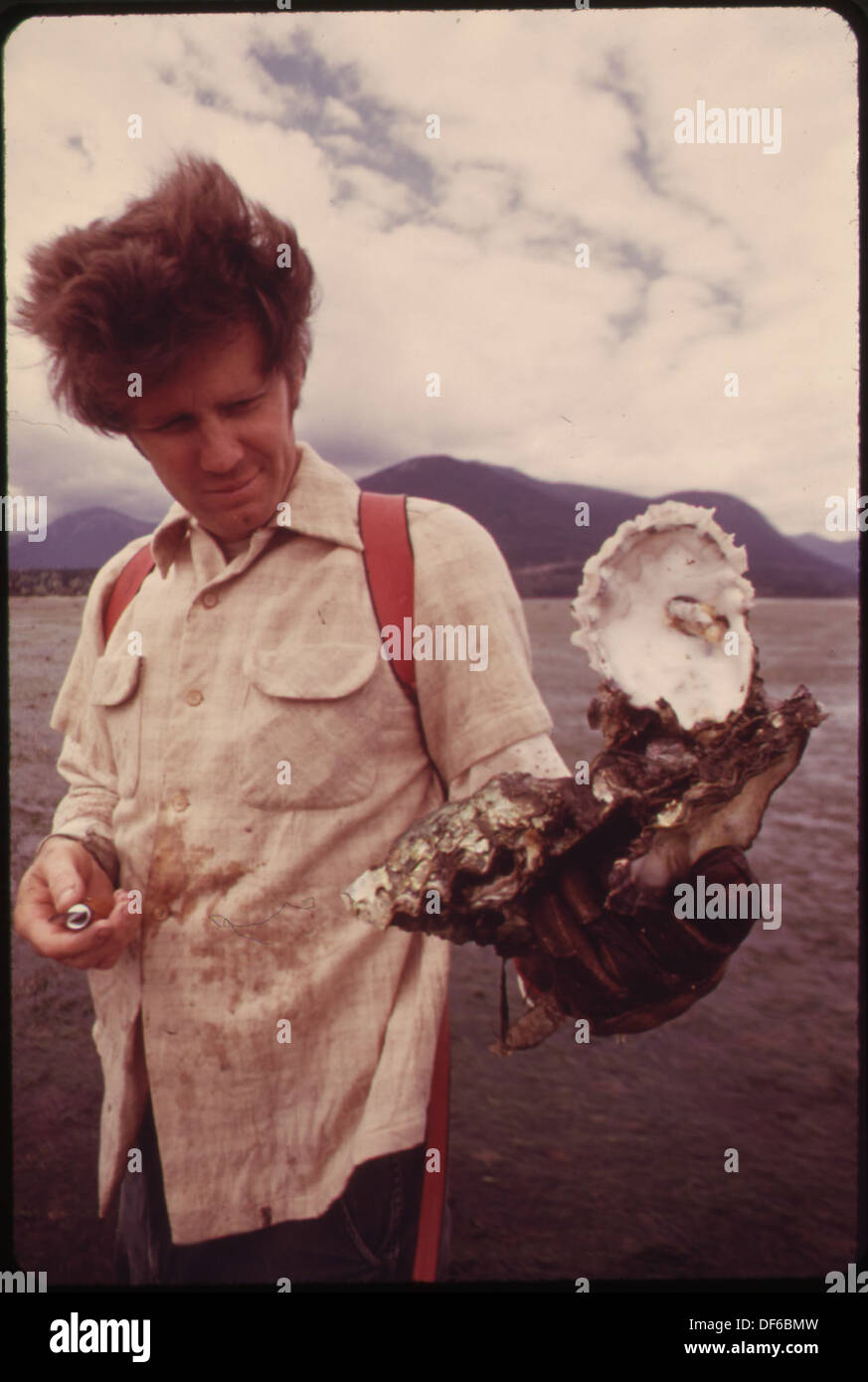 JIM POTH OF SEATTLE SHUCKS OYSTERS ON THE PUBLIC TIDELANDS OF THE HOOD