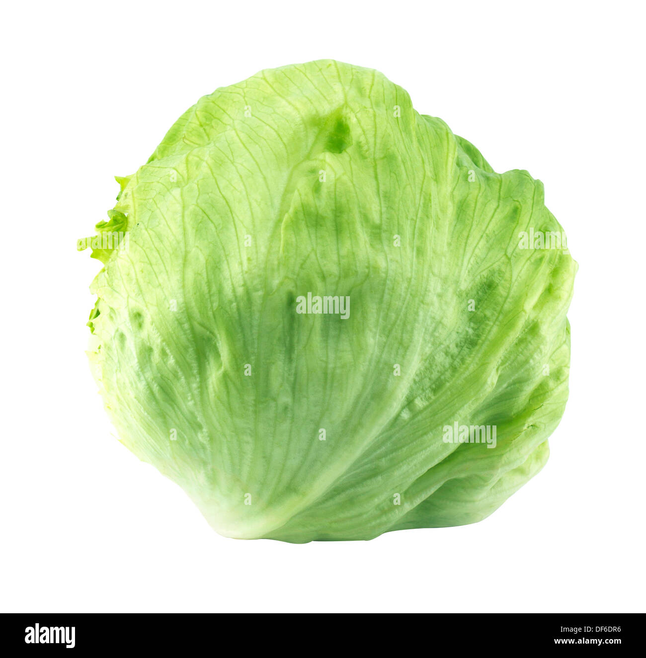 Fresh Green Iceberg lettuce . (with clipping work path) Stock Photo