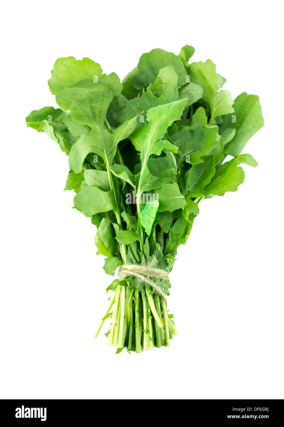 Green Rocket or Roquette leaves isolated on white background (with clipping work path) Stock Photo