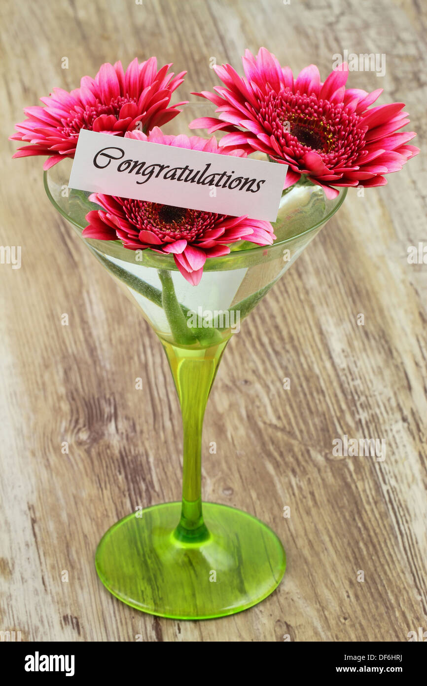 Congratulations card with pink gerbera daisies in martini glass Stock Photo
