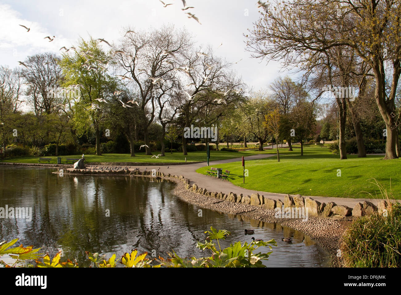 Mowbray Park in Sunderland, North East England Stock Photo Alamy