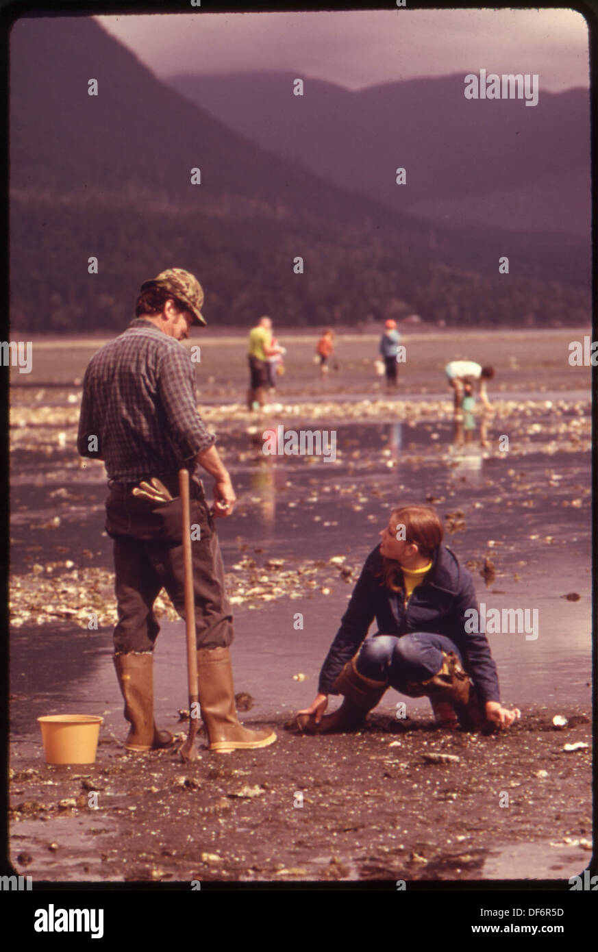 Oystering High Resolution Stock Photography and Images Alamy