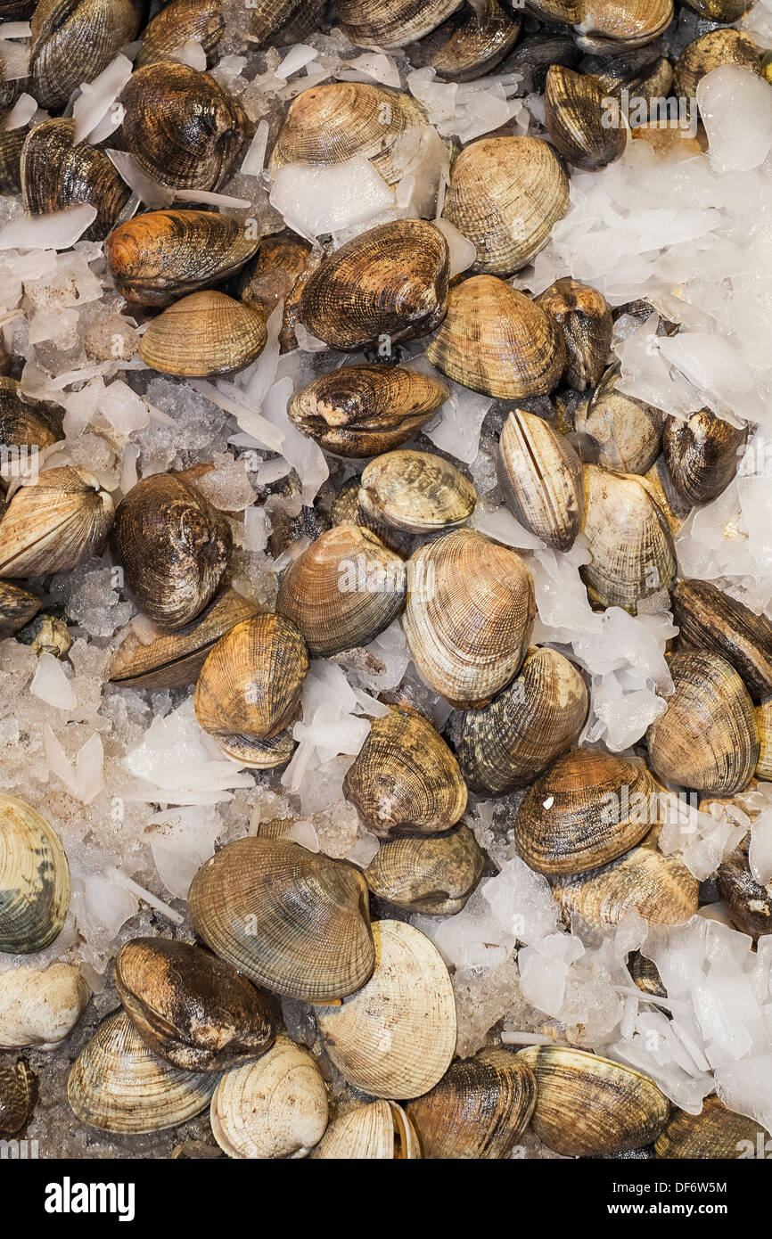 Clams for sale in farmers market, Seattle, Washington Stock Photo