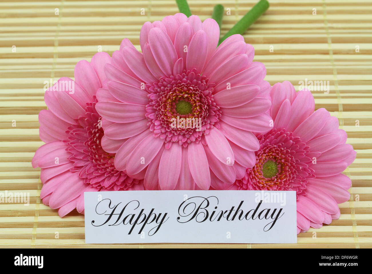 Happy birthday card with pink gerbera daisies Stock Photo: 61002727 - Alamy