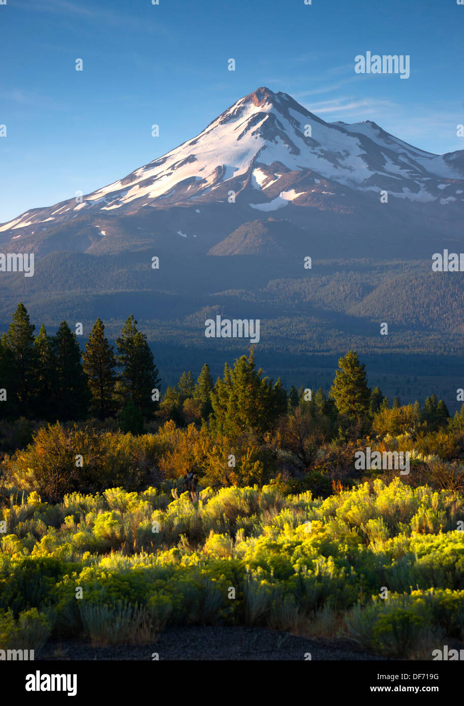 Vertical composition over sage brush Mt Shasta California Stock Photo