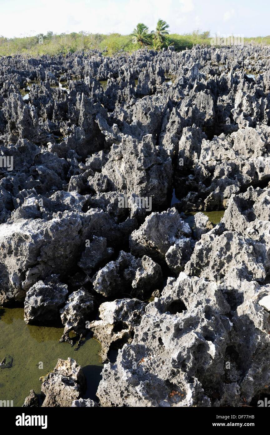 Jagged limestone shore at Hell in Grand Cayman Islands Caribbean Stock Photo