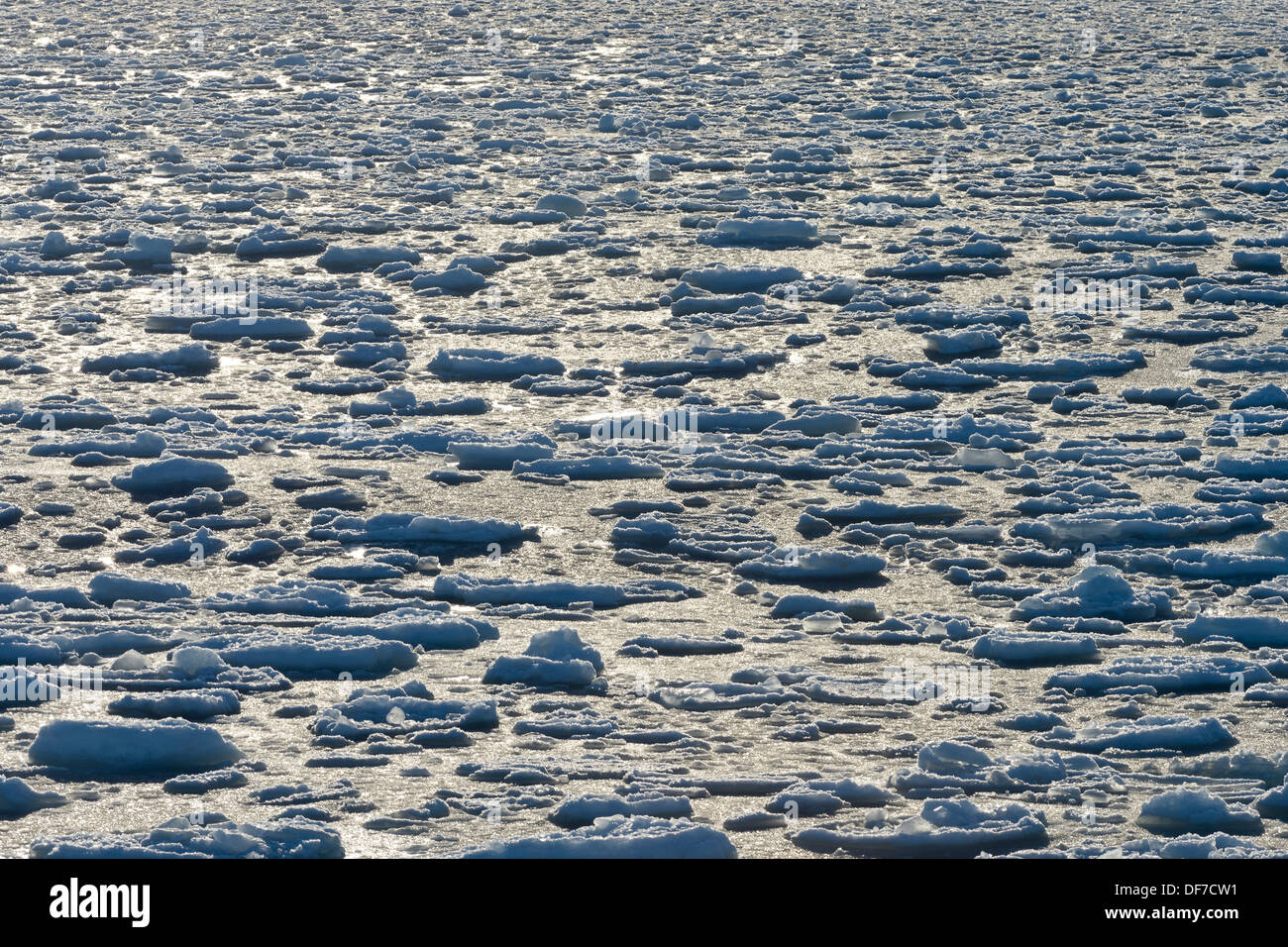 Ice floes, pack ice, Arctic Ocean, Spitsbergen Island, Svalbard Archipelago, Svalbard and Jan Mayen, Norway Stock Photo