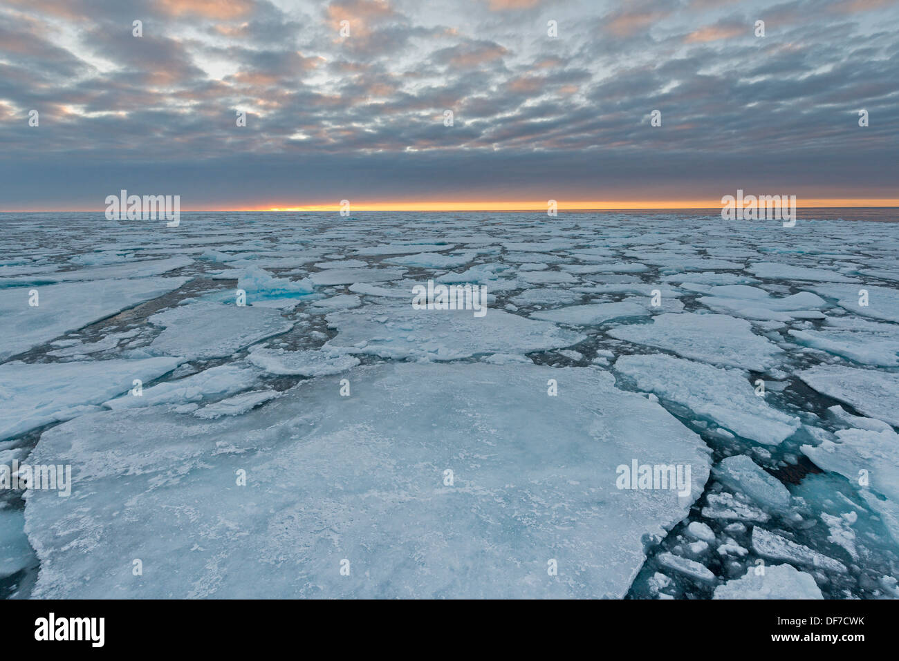 Ice floes, pack ice, evening mood, Arctic Ocean, Spitsbergen Island, Svalbard Archipelago, Svalbard and Jan Mayen, Norway Stock Photo