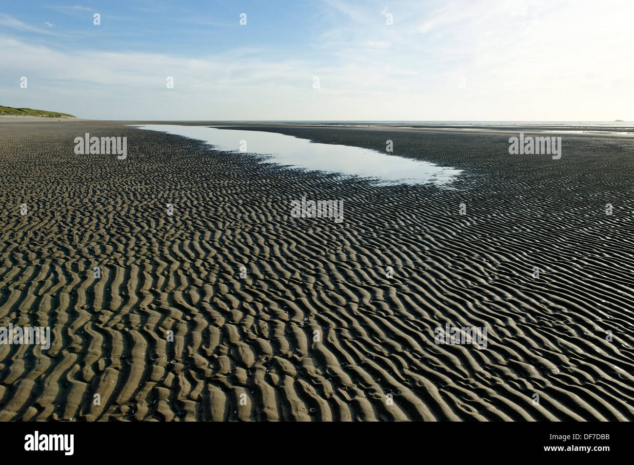 Beach at low tide, English Channel, Côte d´Opale, Le TouquetParisPlage, Département Pasde