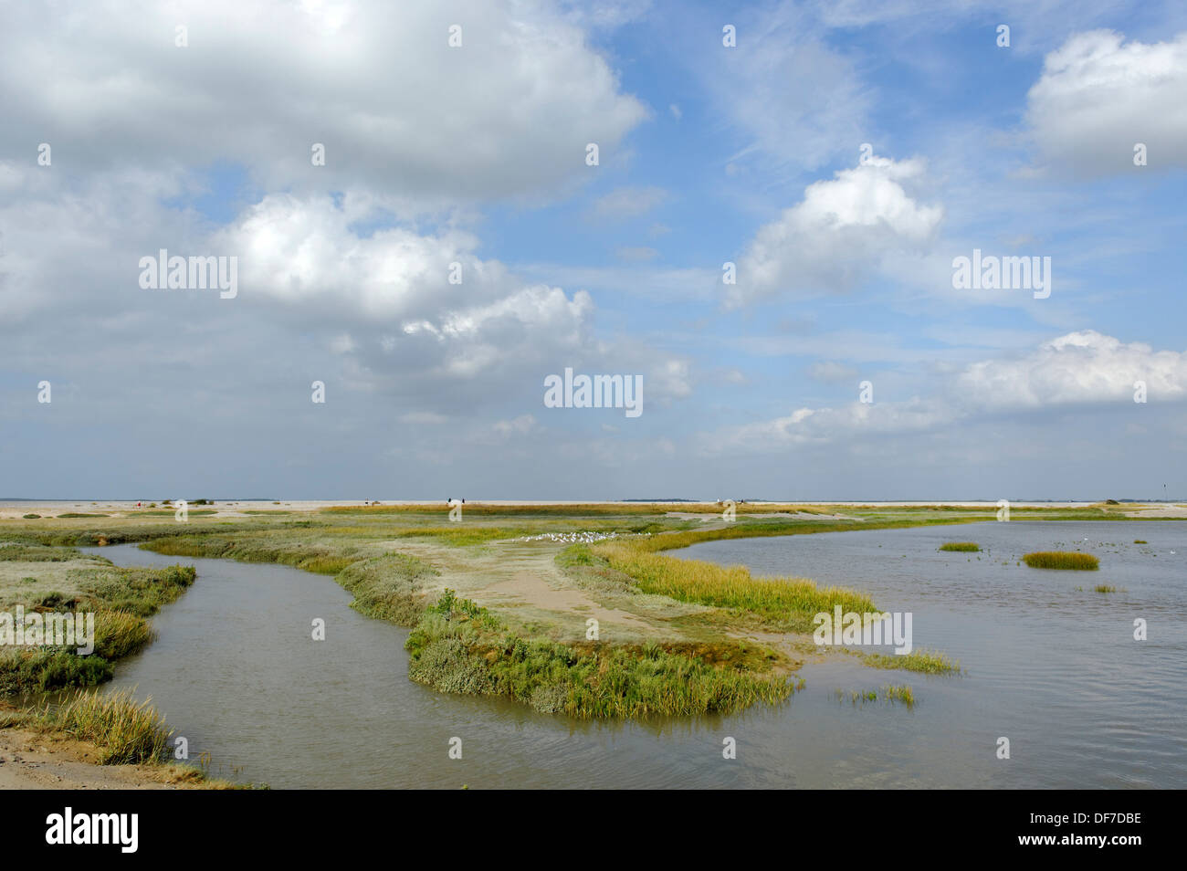 Le Hourdel at the mouth of the Somme River, Le Hourdel, Département Somme, Picardie, France Stock Photo