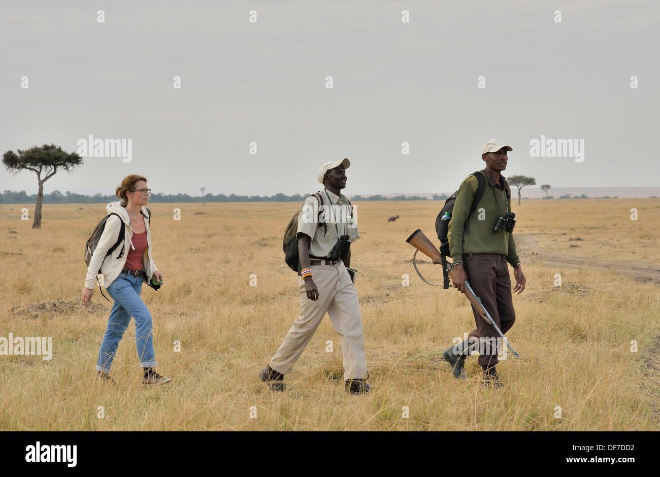 Tourist with armed guard and guide on a walking safari, Massai Mara, Serengeti, Rift Valley province, Kenya Stock Photo