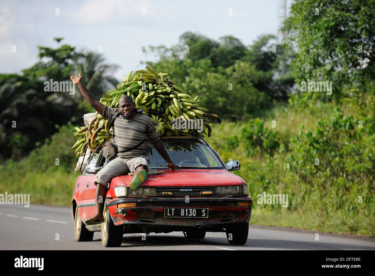 Bananas being transported on a car, Kribi, South Region, Cameroon Stock Photo